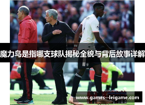 魔力鸟是指哪支球队揭秘全貌与背后故事详解